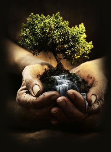 Image-1-in-Document1