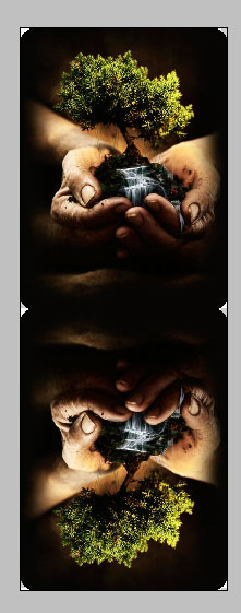 Image-13-in-Document12