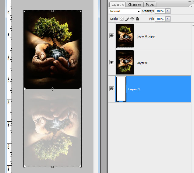 Image-15-in-Document14