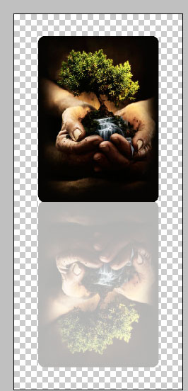 Image-19-in-Document18