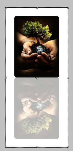 Image-21-in-Document20