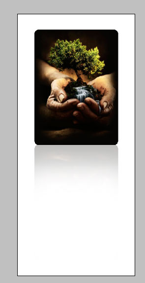 Image-25-in-Document24