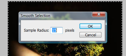 Image-4-in-Document3