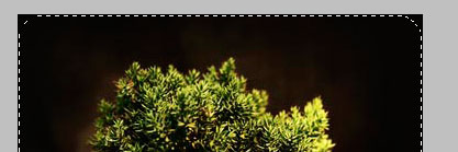 Image-5-in-Document4