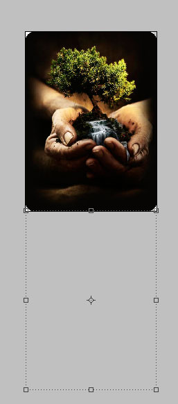 Image-8-in-Document7