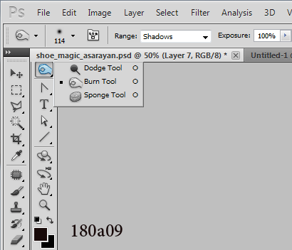 shoe_magic_asarayan31