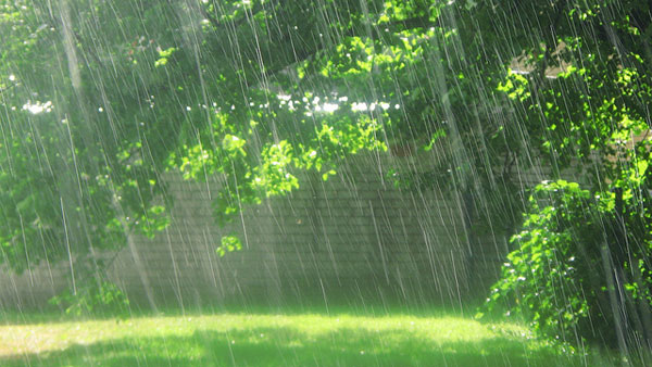 rain-on-a-sunny-day-17