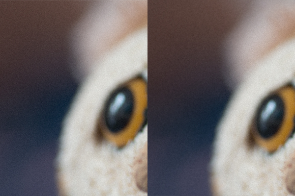 noise-reduction-in-photoshop-08