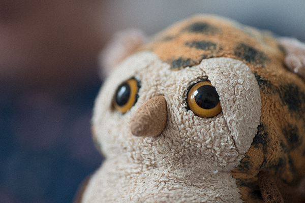 noise-reduction-in-photoshop-09